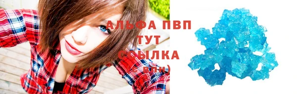 стаф Баксан